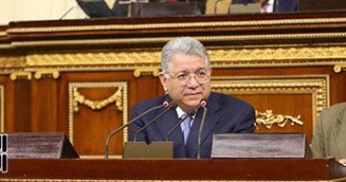 جمال شيحة، عضو مجلس النواب
